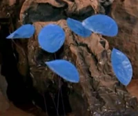 Blue Plant
